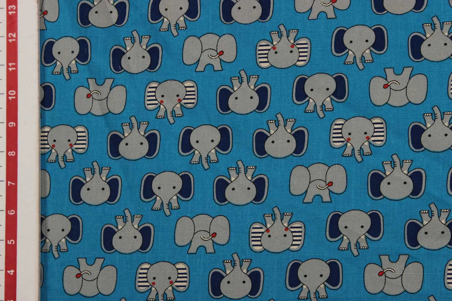 Blue Cotton Canvas Fabric