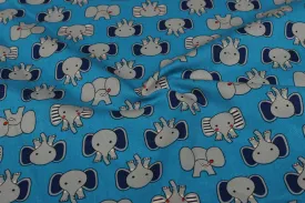 Blue Cotton Canvas Fabric