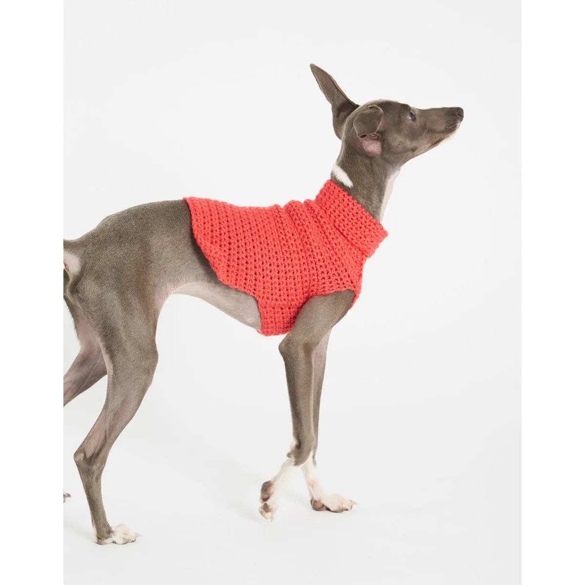 Wool And The Gang - Diamond Dog Coat Coral Crush